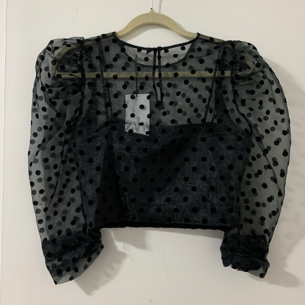 Zara Crop Top